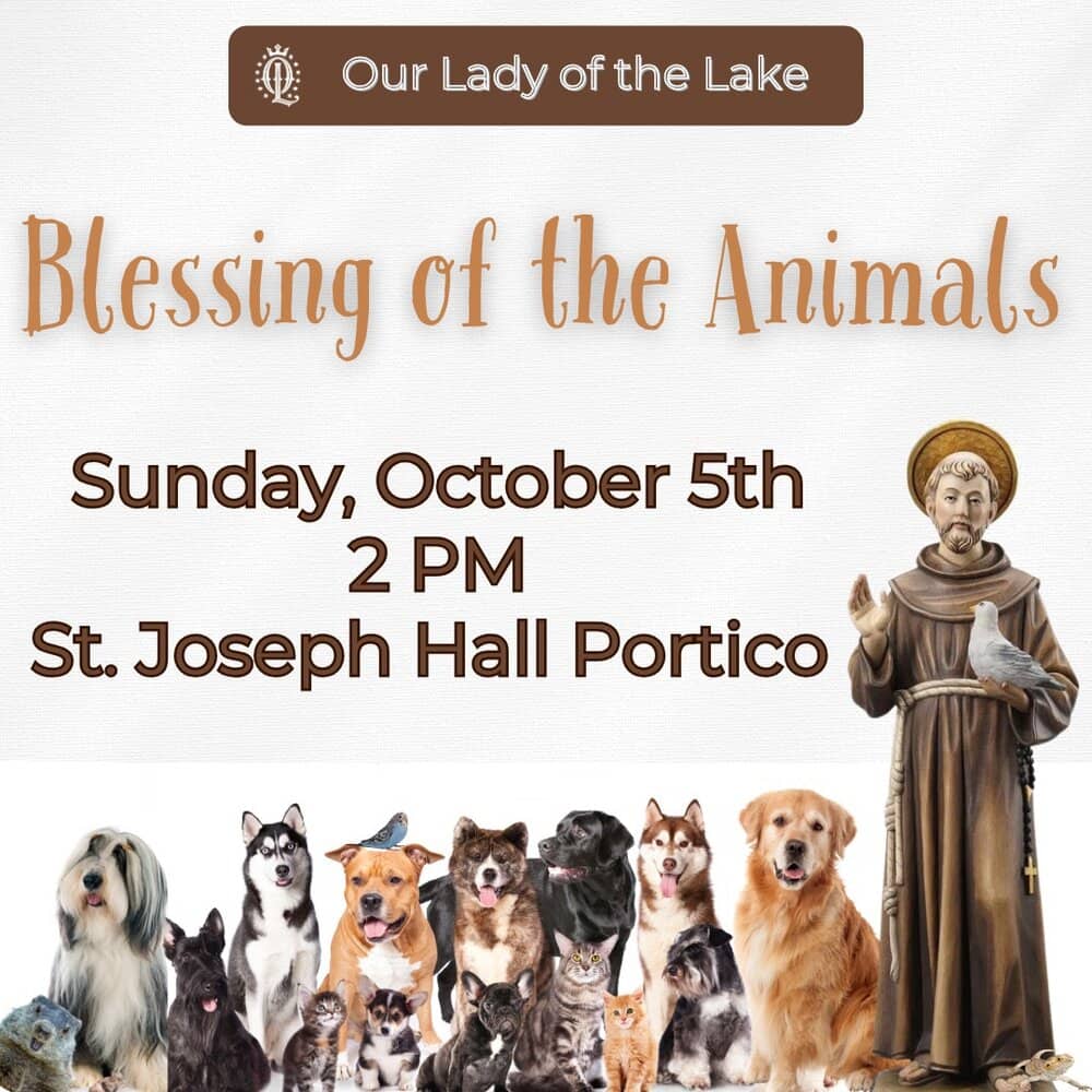 Blessing of the Animals